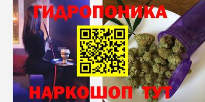 молекула духа Лесосибирск